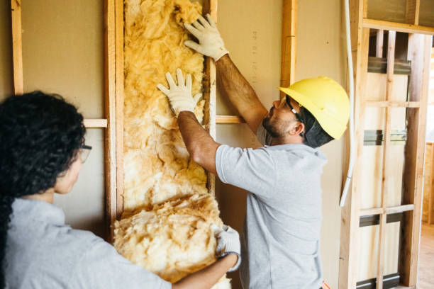 Best Spray Foam Insulation  in Fredonia, NY